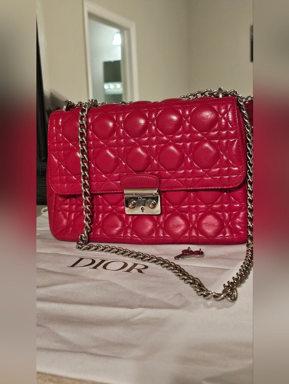 Christian Dior Miss Dior Promenade/flap chain bag